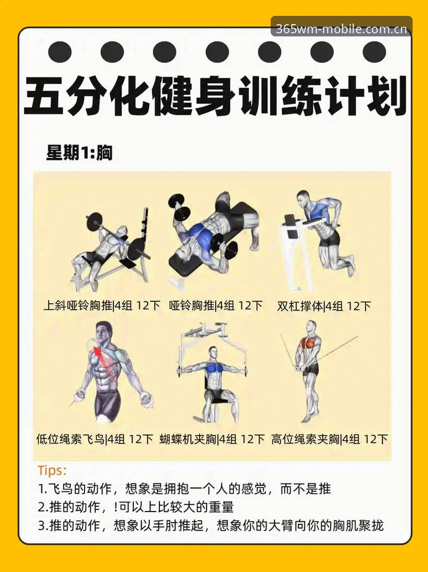 5个关键维度解析完美体育界面优化如何提升日常操作效率30%