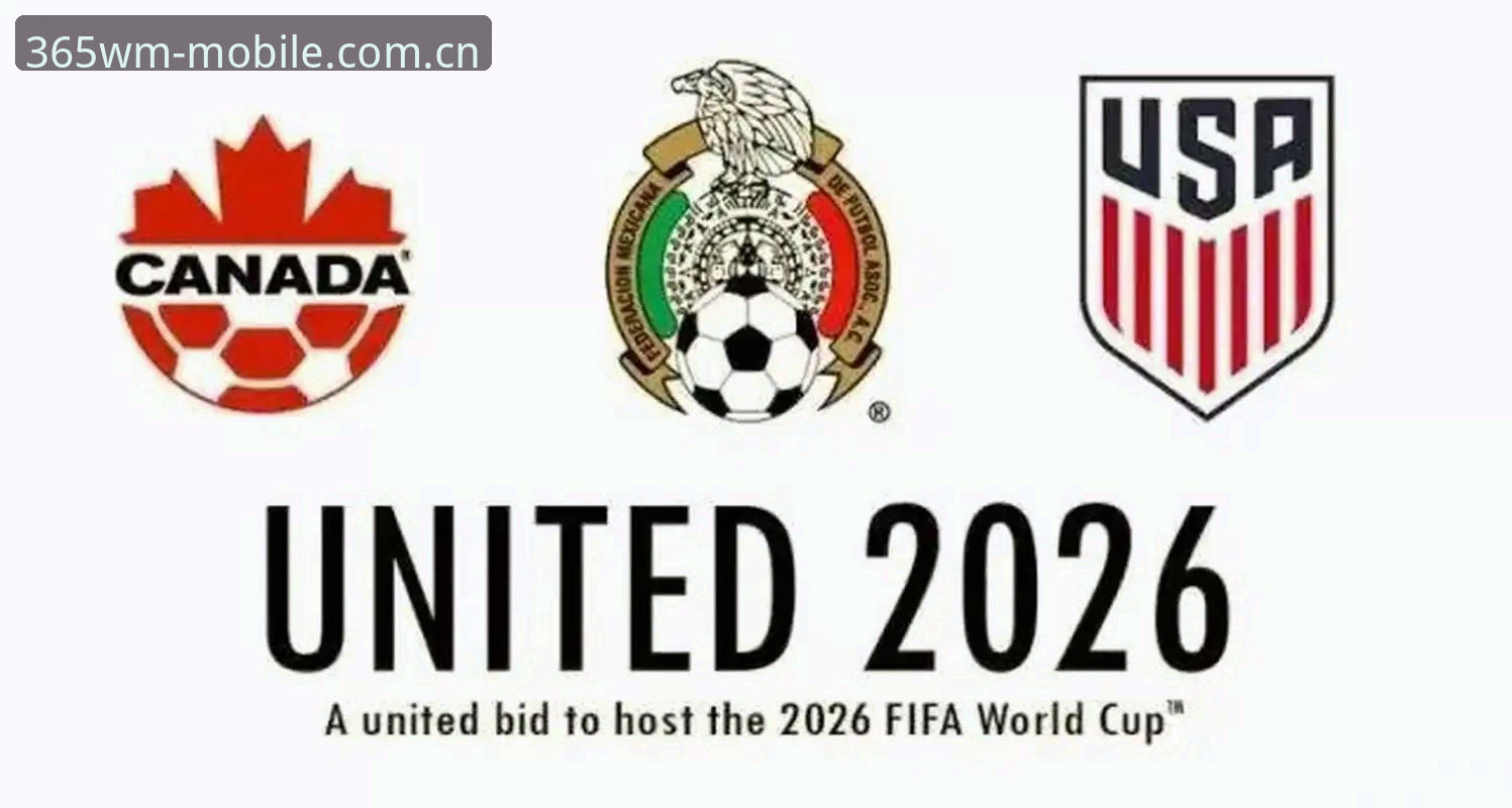 完美体育官网2026数据更新深度评测：界面、赛事与功能全面体验分析