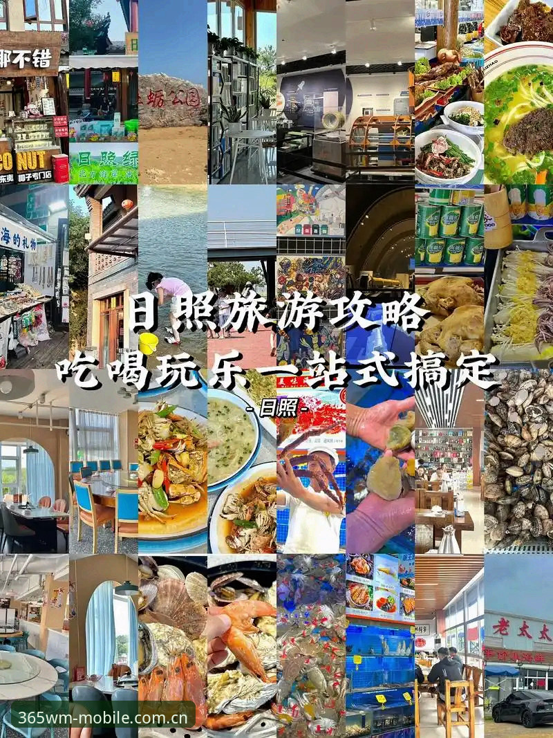 完美体育官网官方正版下载最新动态：一站式获取v1.0.0版本与注册指南